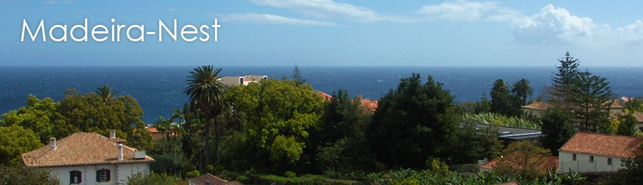 Madeira-Nest